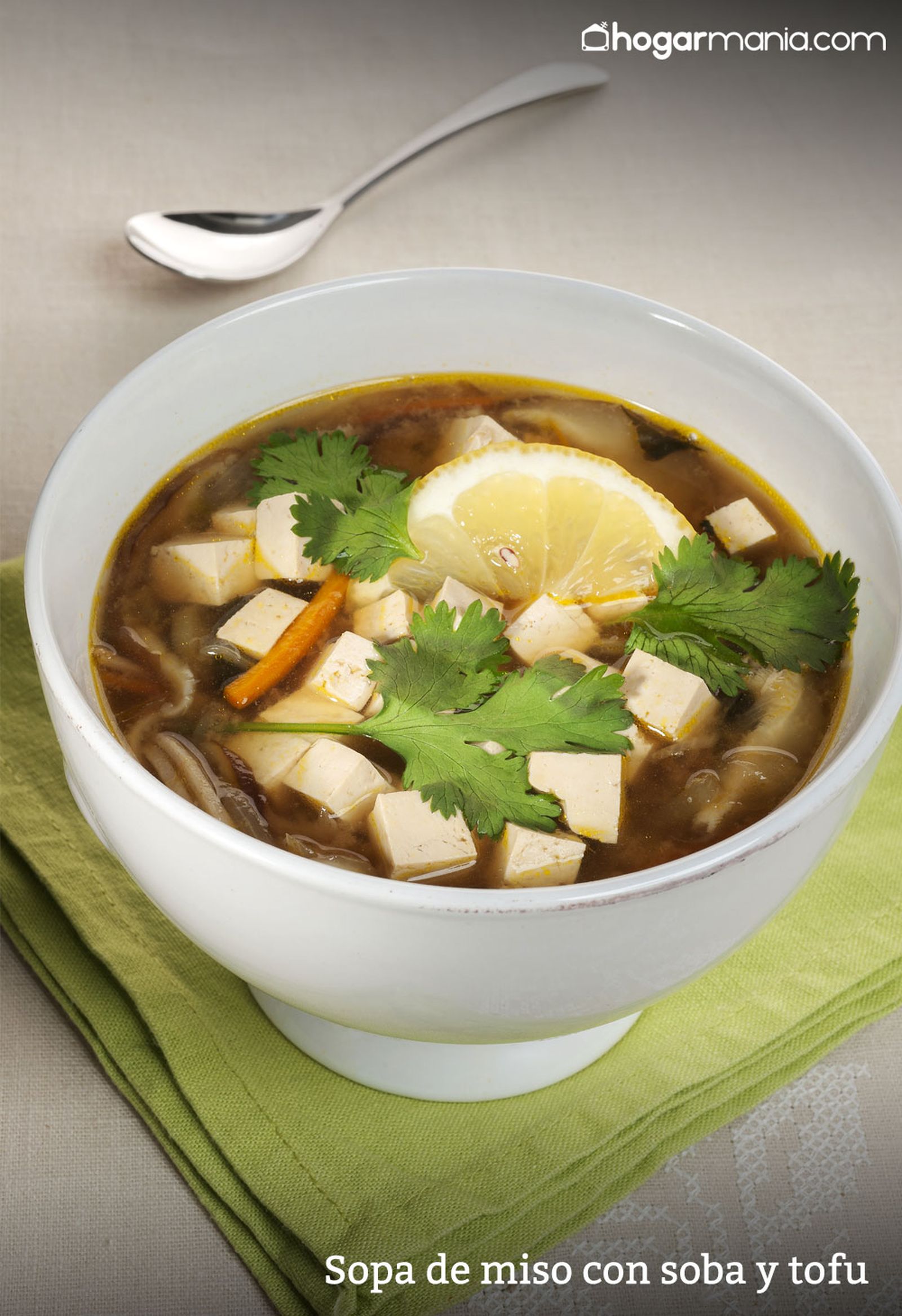 CABI0033 Zuhaitz Sopa de miso con soba y tofu vertical xl CABI0033 Zuhaitz Sopa de miso con soba y tofu vertical xl