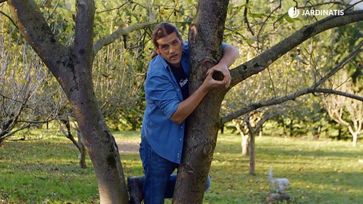 brico 0896 jardin proteger tras poda paso 1