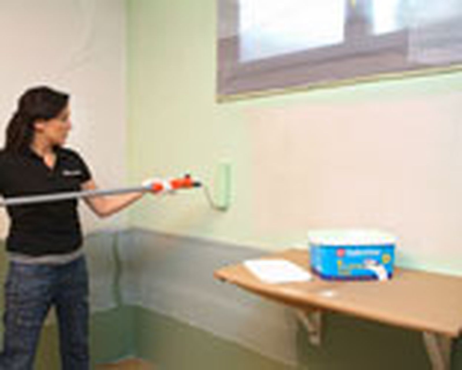 505 Pintar pared de garaje p6 505 Pintar pared de garaje p6