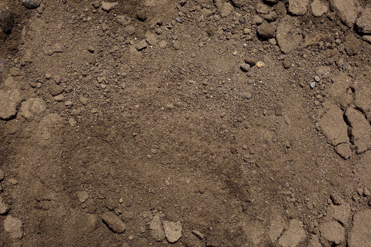 texturas de la tierra xl