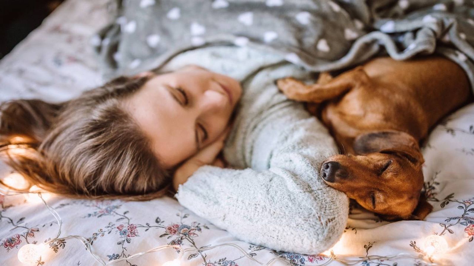 es bueno dormir con tu perro es bueno dormir con tu perro
