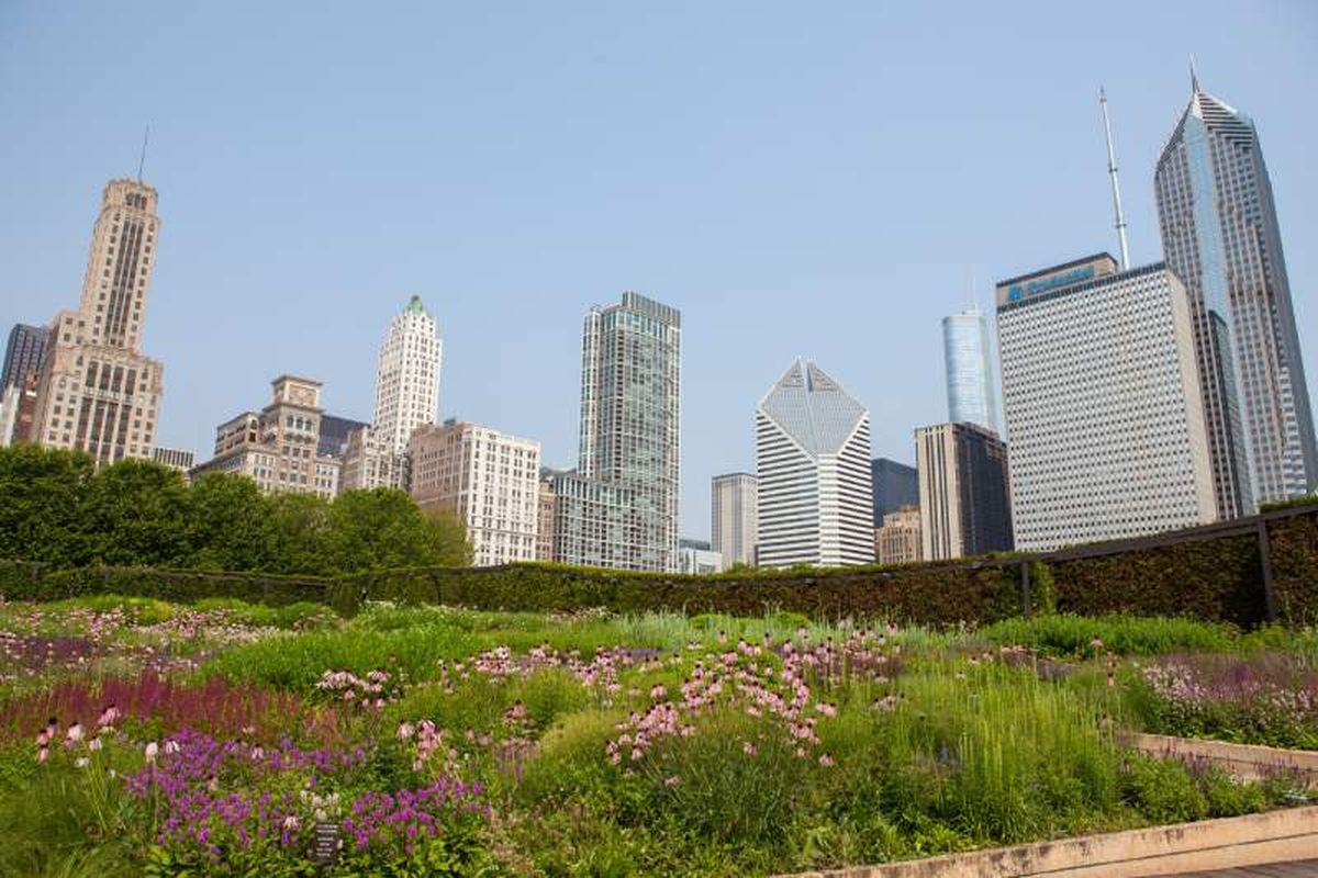 Lurie Garden en Millennium Park
