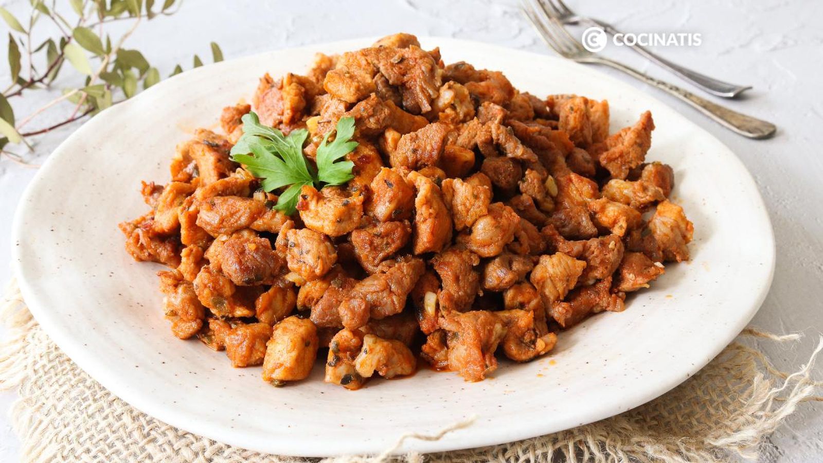 Zorza