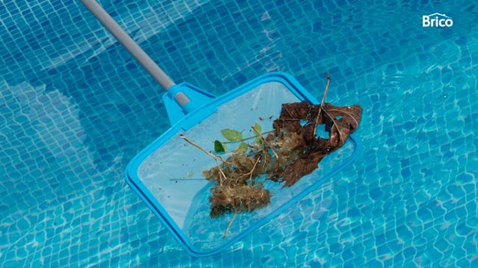 Limpiar la piscina paso 2 Limpiar la piscina paso 2
