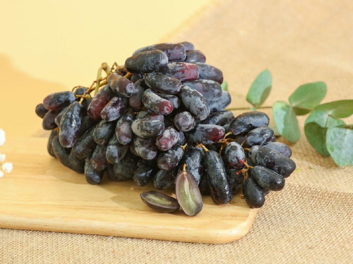 Llama la atención la variedad Funny Fingers, cuyo nombre hace alusión a su forma de dedos