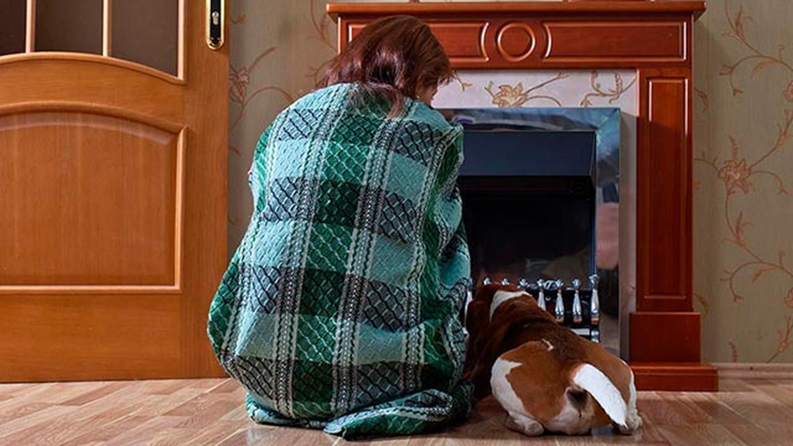 abrigar perro frio 4