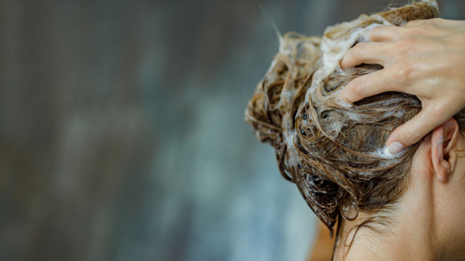 aceite de romero para el pelo cuales son sus beneficios y como se utiliza champu aceite de romero para el pelo cuales son sus beneficios y como se utiliza champu