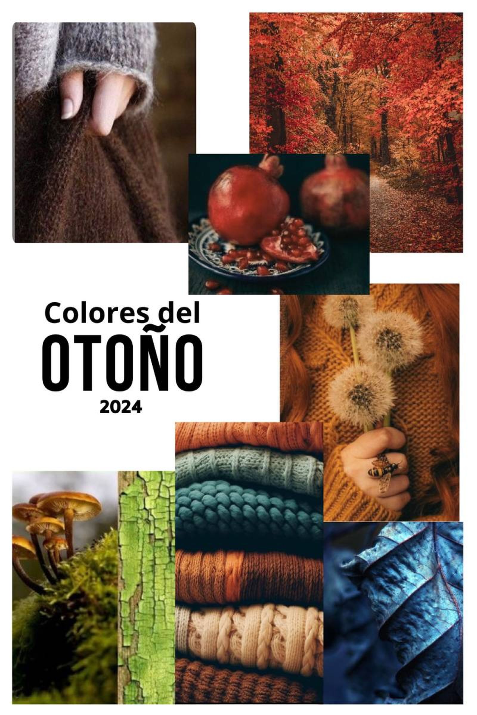 Moodboard de fotografías otoñales.