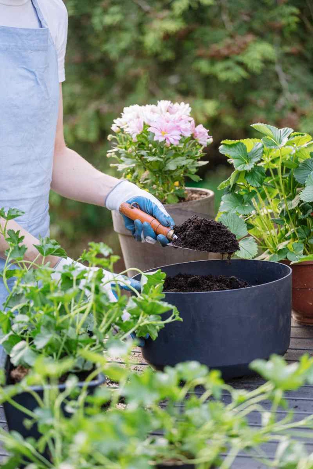 Es recomendable hacerlo a primeras horas de la mañana o a última hora de la tarde