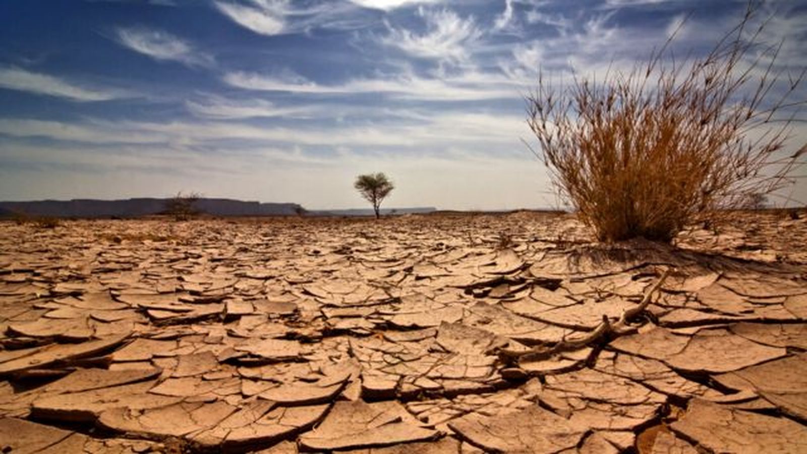 sequia cambio climatico