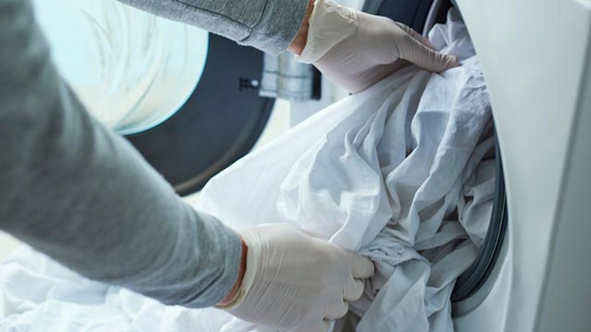 remedios caseros para eliminar chinches plagas comunes en casa