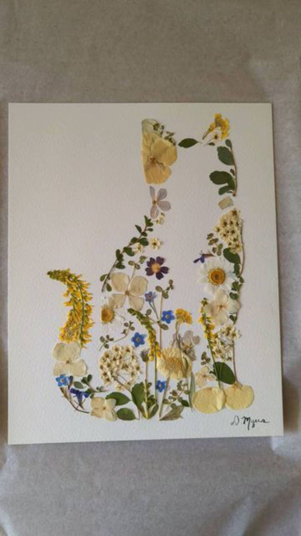 ilustracion flores secas