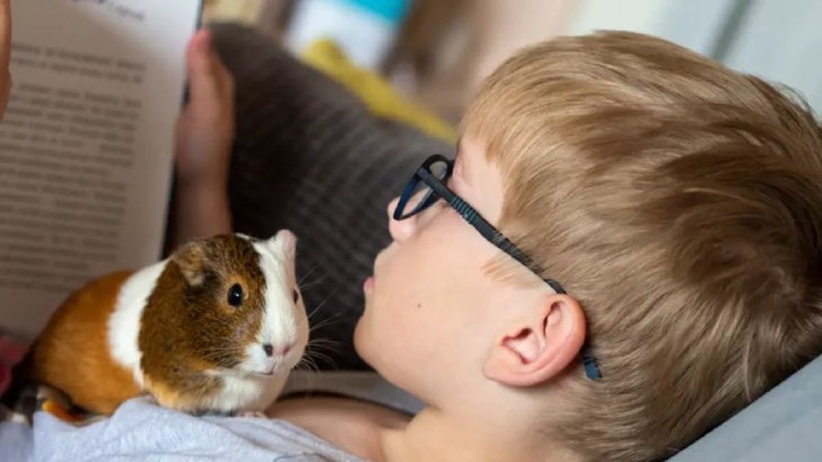 nombres para hamsters 3