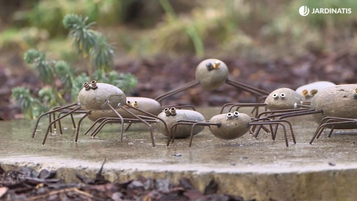 Arañas de piedra en el jardín
