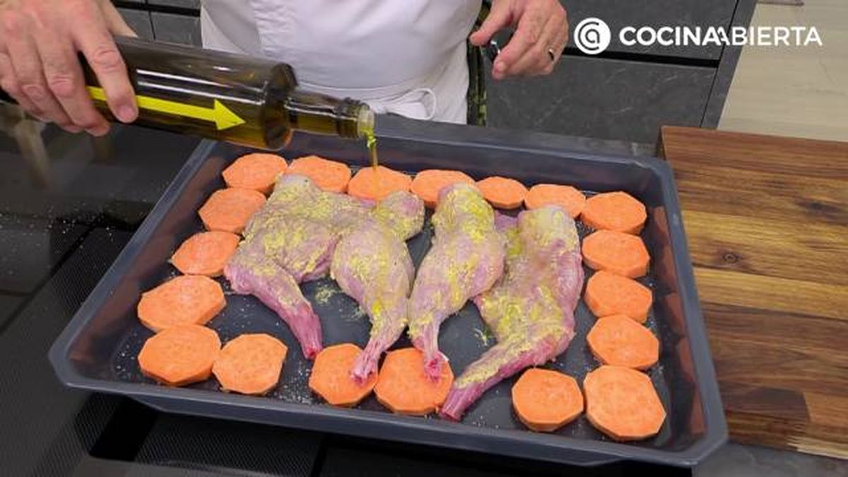 karl7226 conejo boniato p2