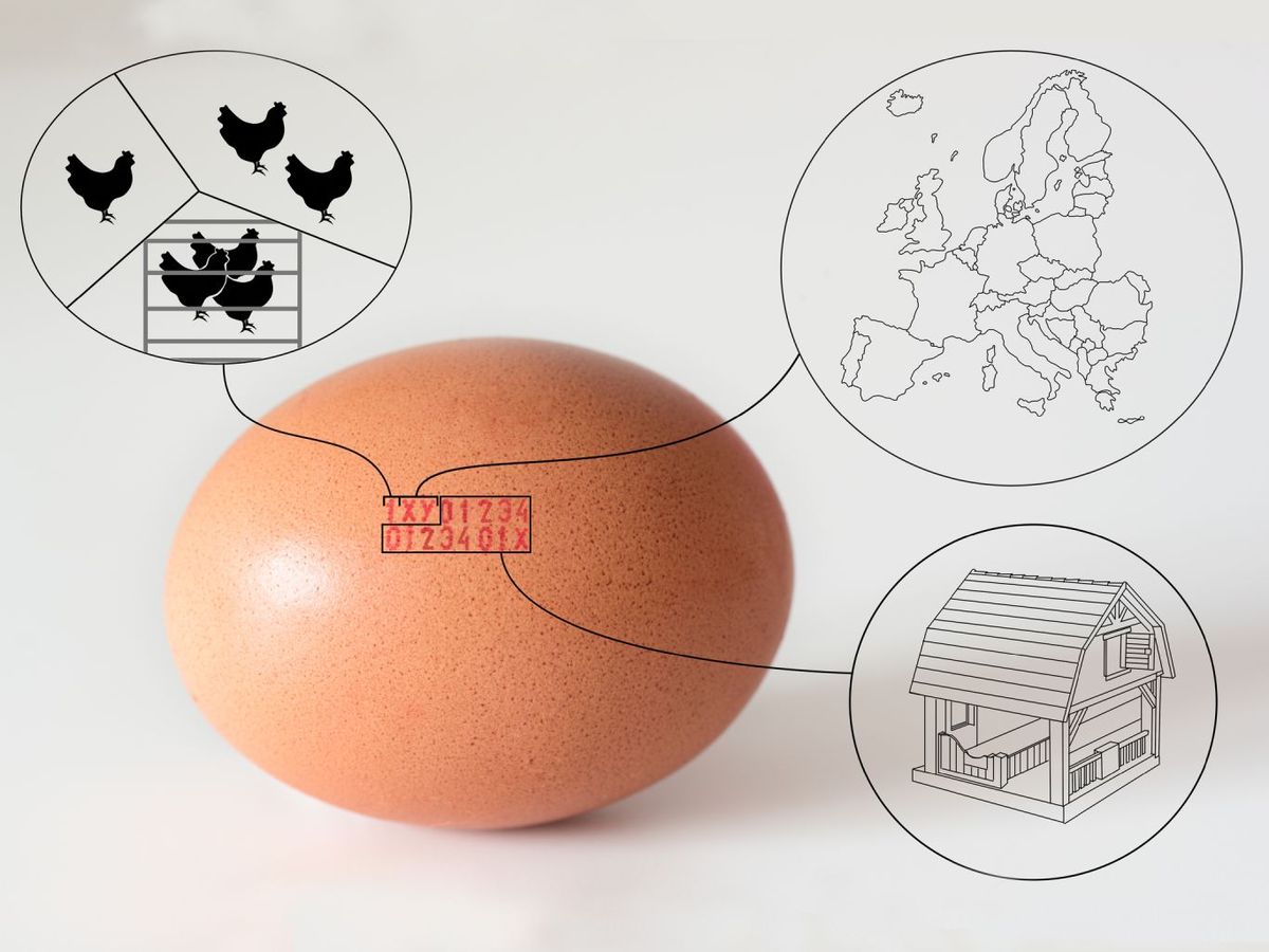 Significado del código en los huevos