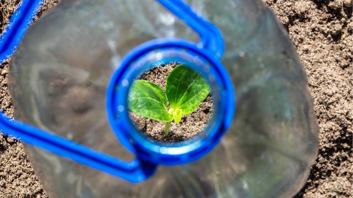 ideas para reciclar garrafas de plastico 1