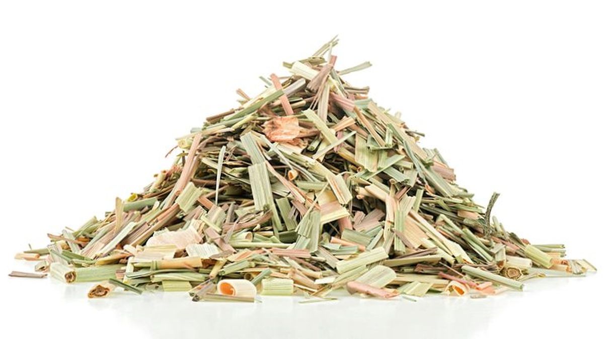 lemongrass seco