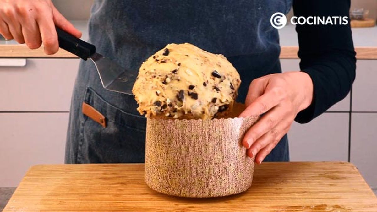 Receta de panettone de chocolate, postre italiano de Navidad  paso 4