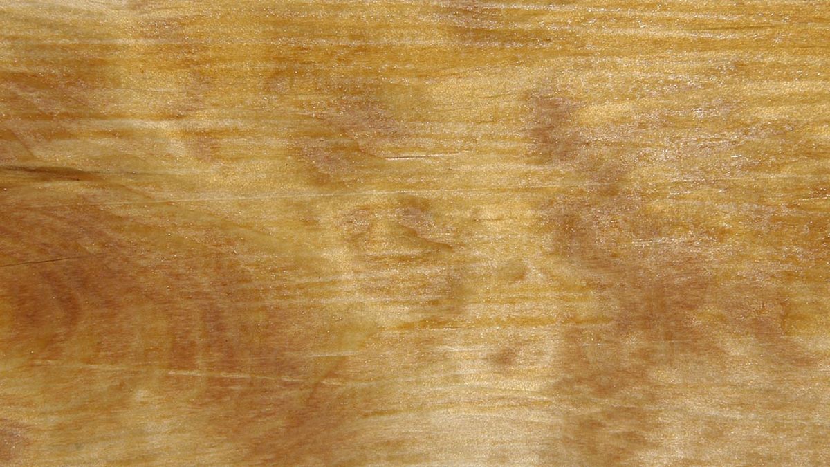 Barnizar una caseta de exterior paso 4