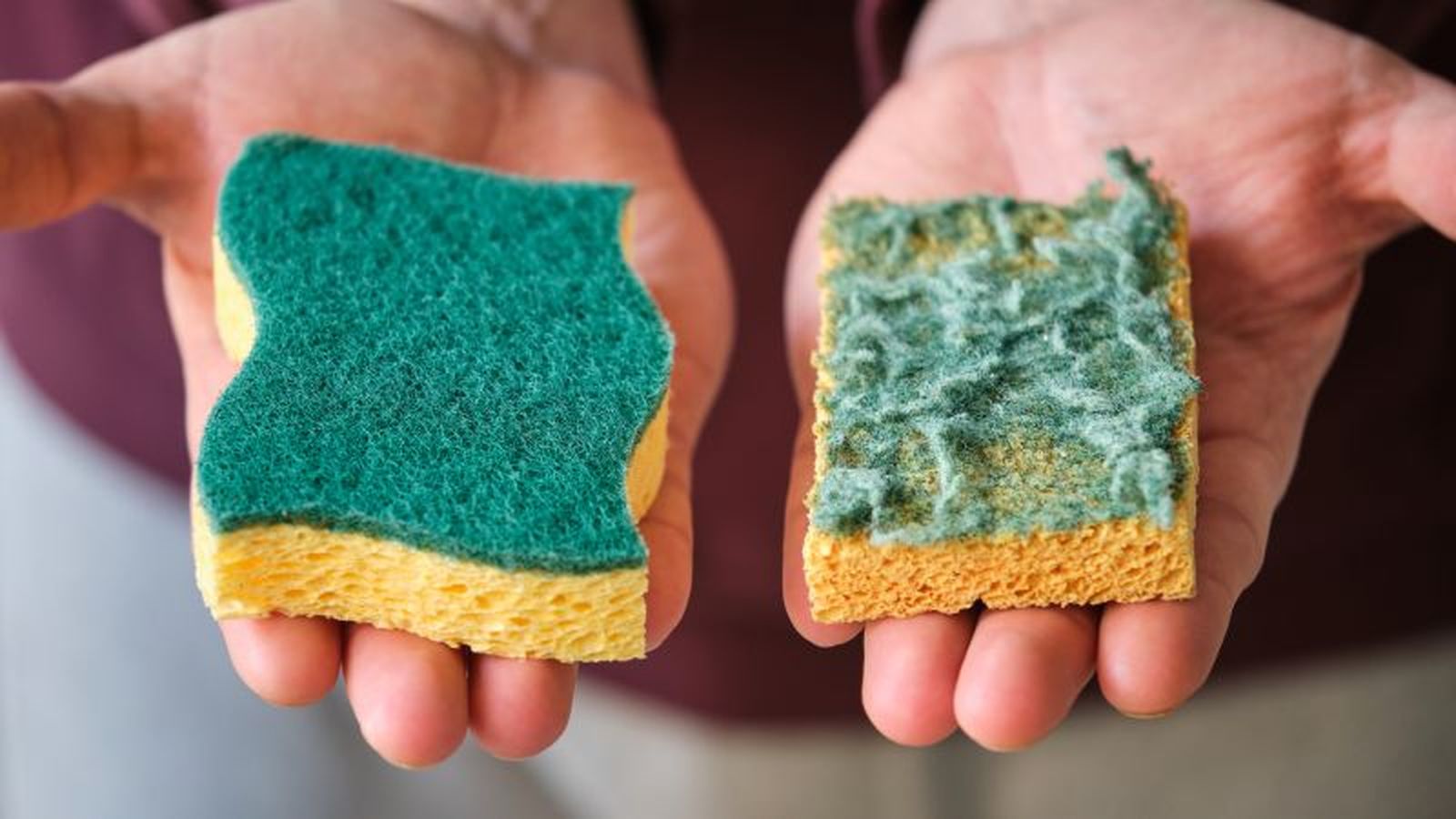 Esponja de cocina nueva y usada Esponja de cocina nueva y usada