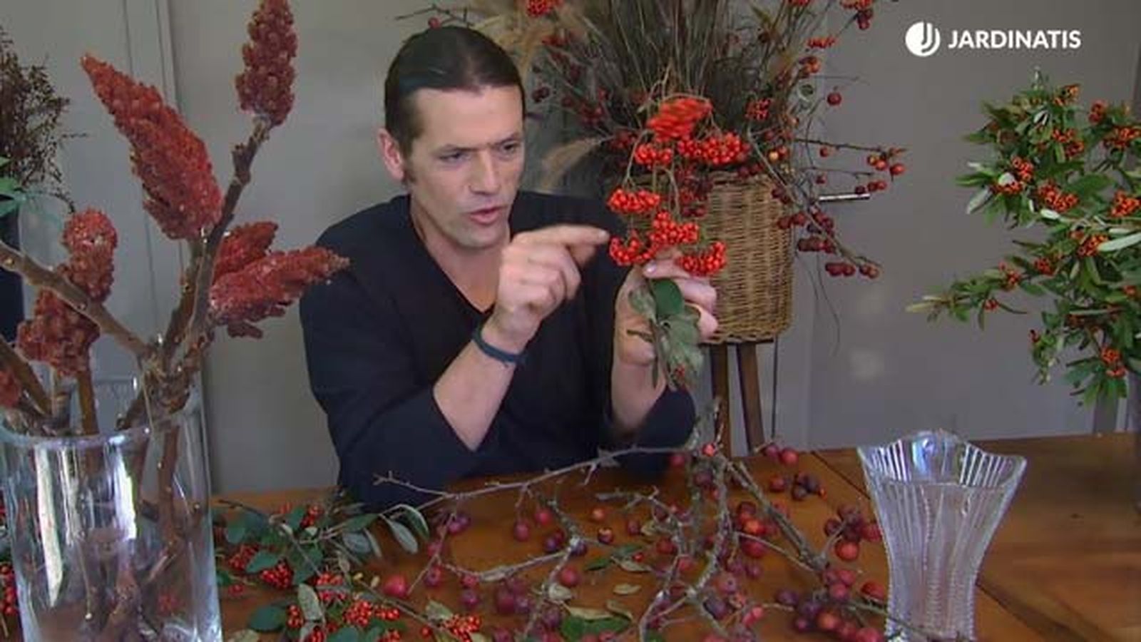 Cotoneaster Lacteus