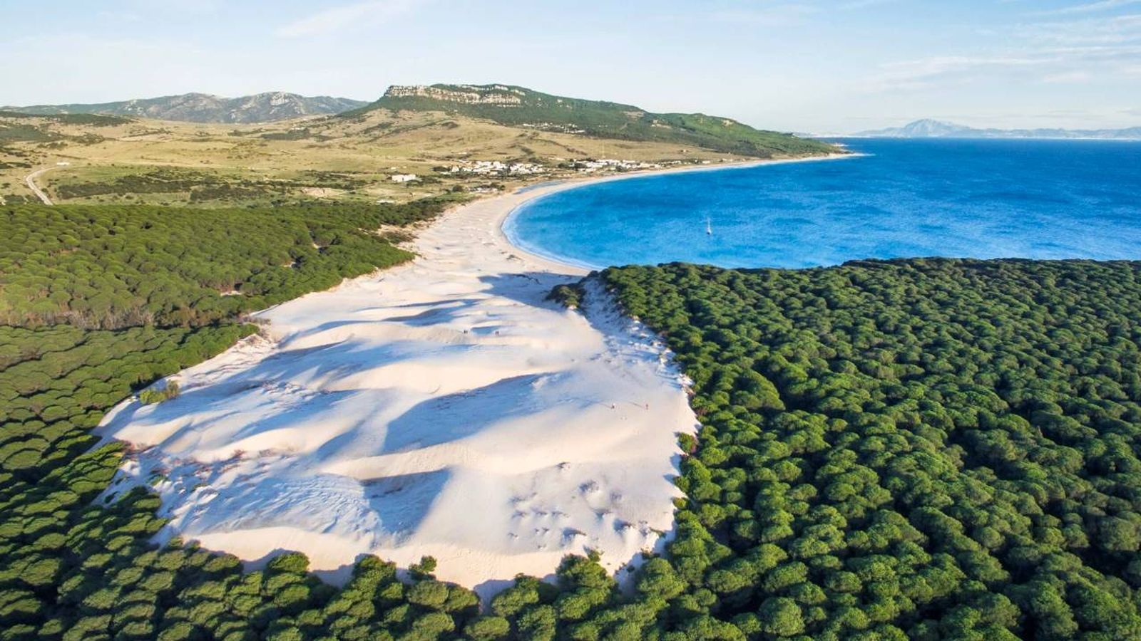 playa bolonia
