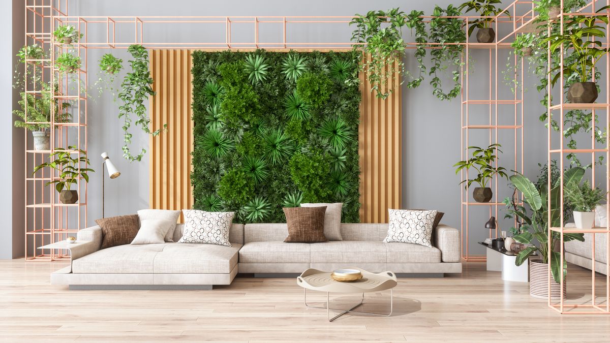 Opta por plantas de interior que sean aptas para sombra