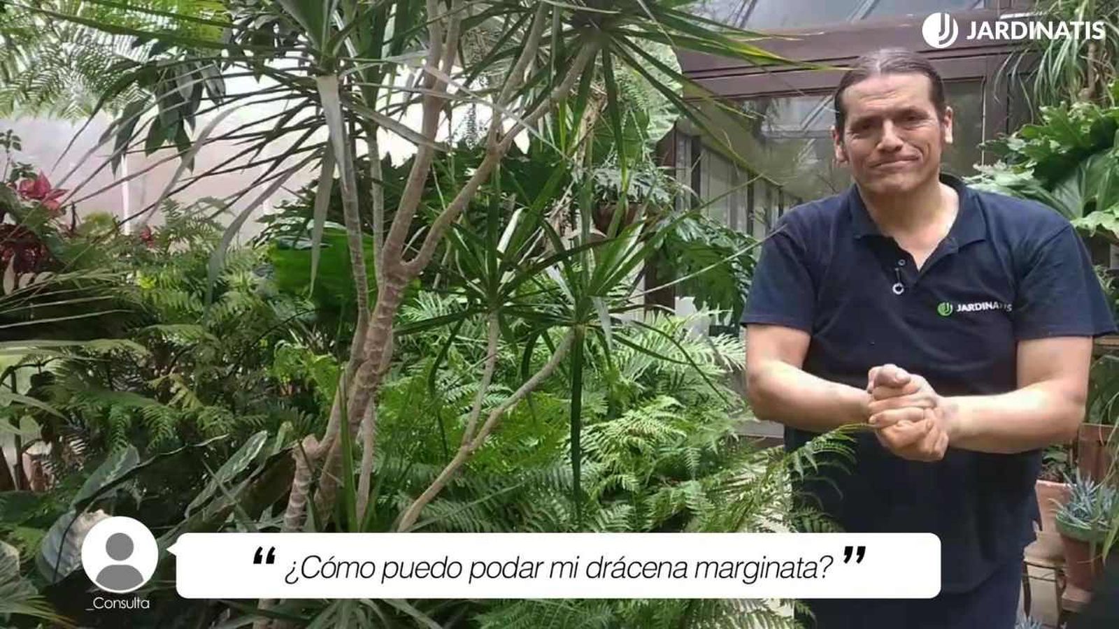 De donde hagas el corte, emergerán las yemas en la planta De donde hagas el corte, emergerán las yemas en la planta
