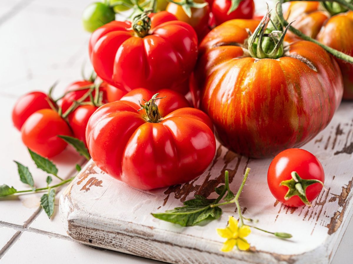 Entre junio y septiembre los tomates alcanzan uno de sus mejores momentos de sabor y maduración