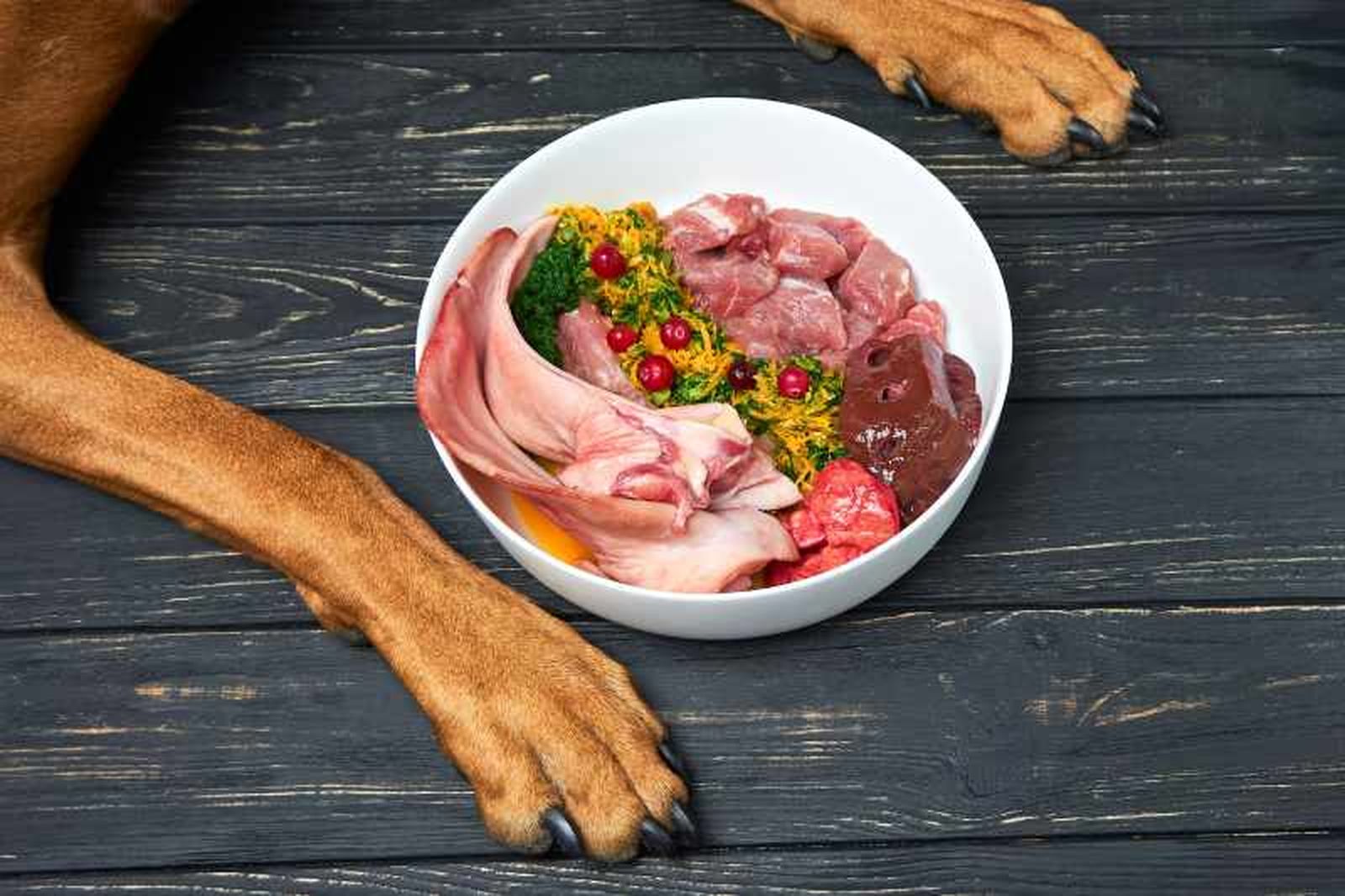 La dieta BARF mejora la salud de tu perro La dieta BARF mejora la salud de tu perro