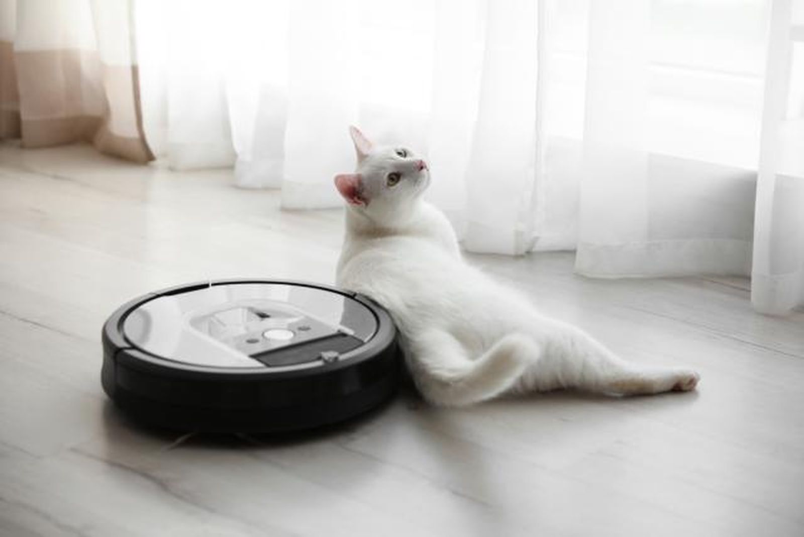 gato robot aspiradora gato robot aspiradora