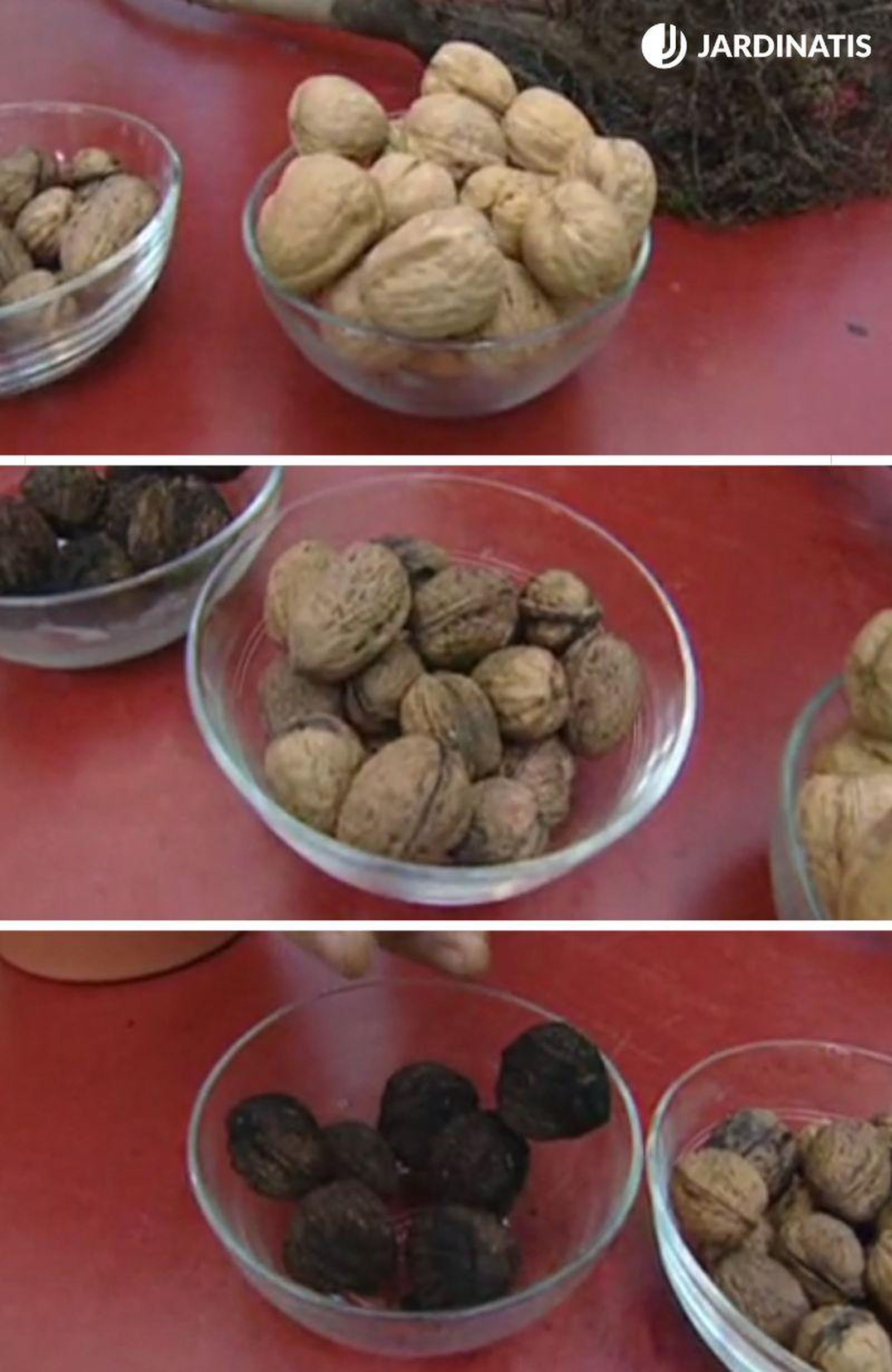 De arriba a abajo: nueces de California, nueces locales y nueces de nogal negro De arriba a abajo: nueces de California, nueces locales y nueces de nogal negro