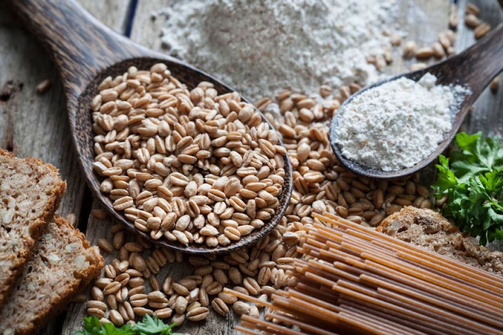 Espelta propiedades cereal
