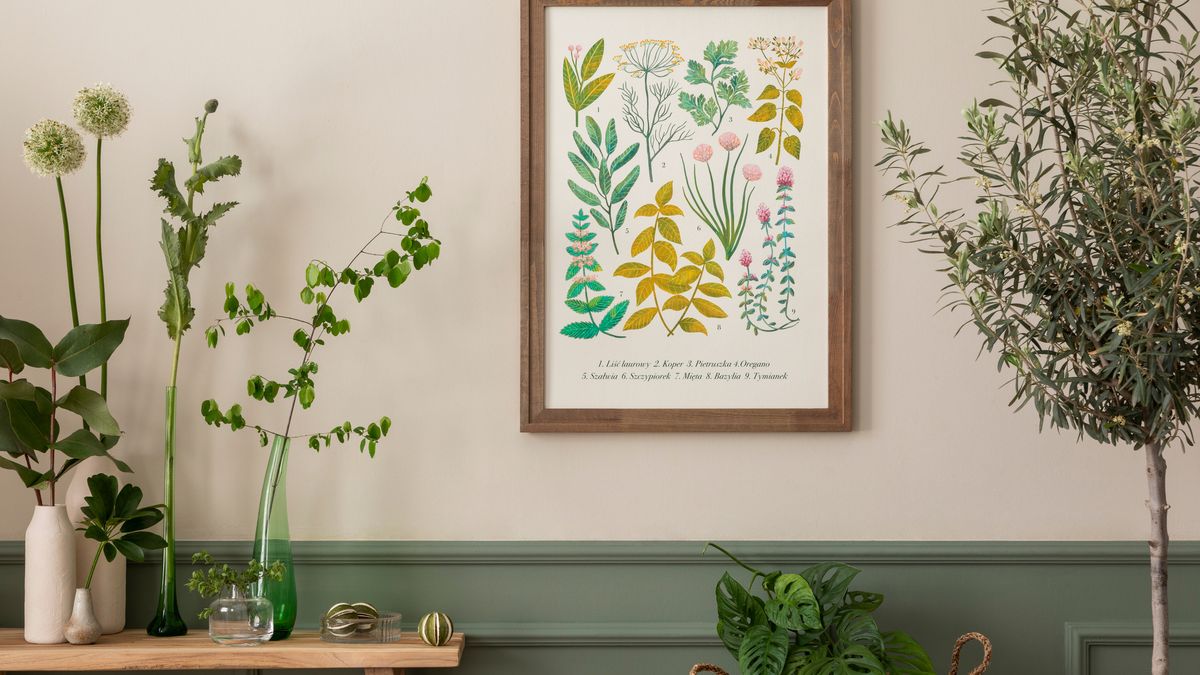 Elige el tamaño de las plantas en función del de la habitación a decorar