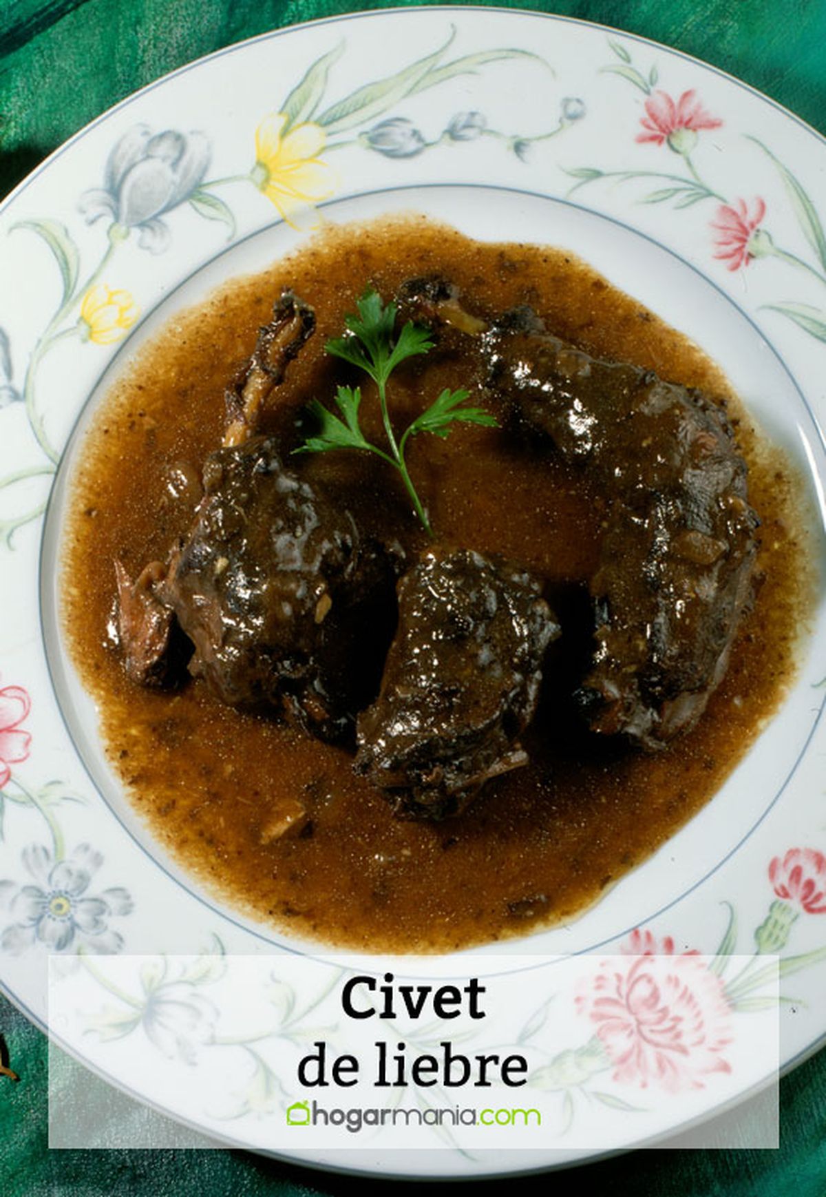 150 2 civet liebre pin