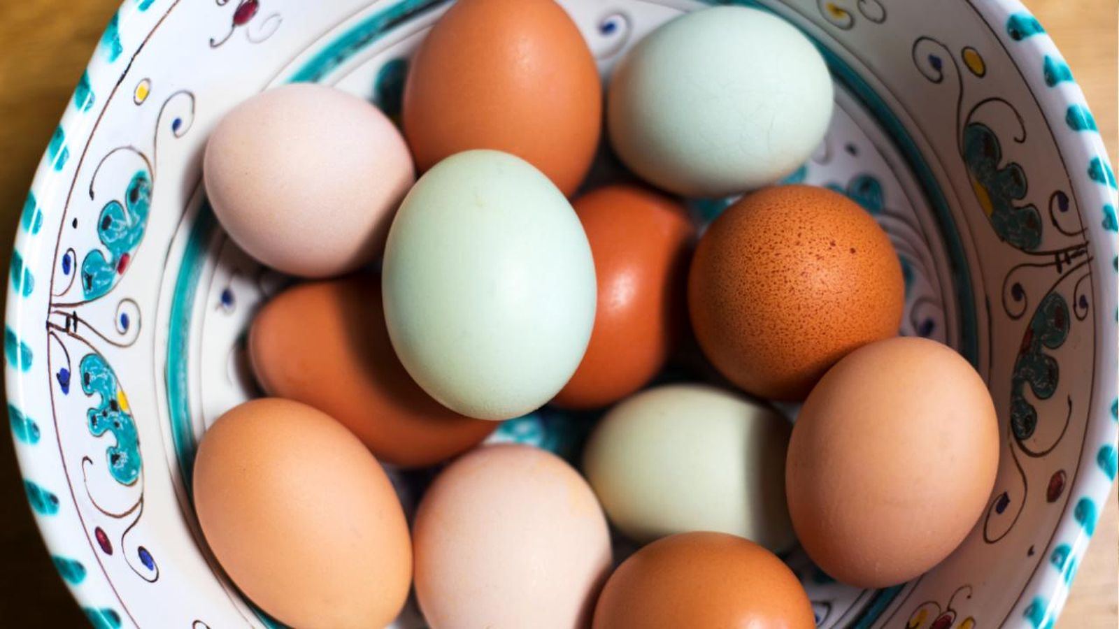 huevos azules gallina huevos comunes huevos azules gallina huevos comunes