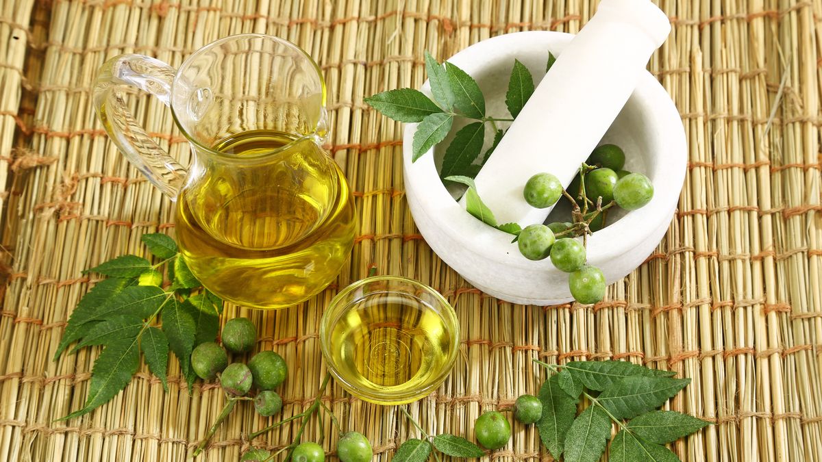 El aceite de neem evita que los ácaros se alimenten y se reproduzcan