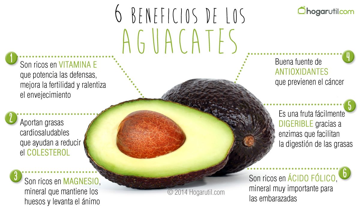 infografia aguacate