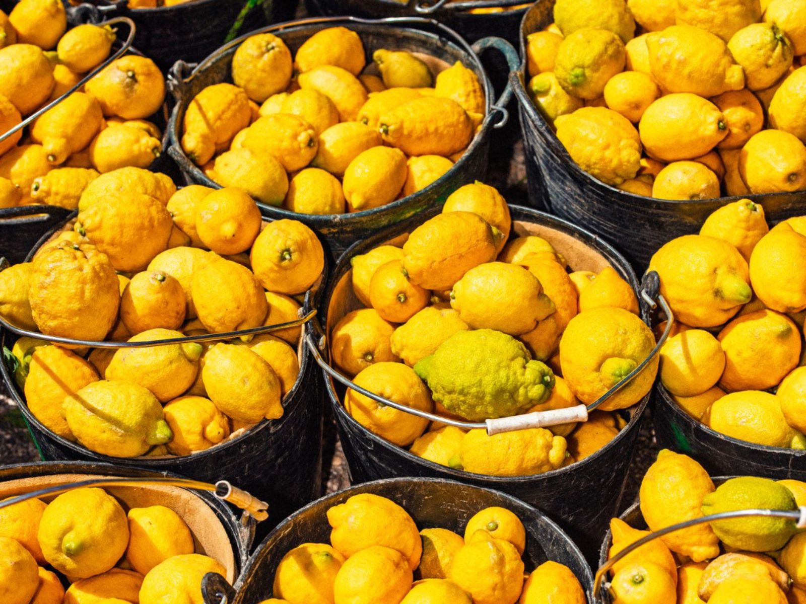 Limones recogidos en la huerta murciana, base esencial para elaborar cervezas con sabor cítrico natural como Clarica. Limones recogidos en la huerta murciana, base esencial para elaborar cervezas con sabor cítrico natural como Clarica.