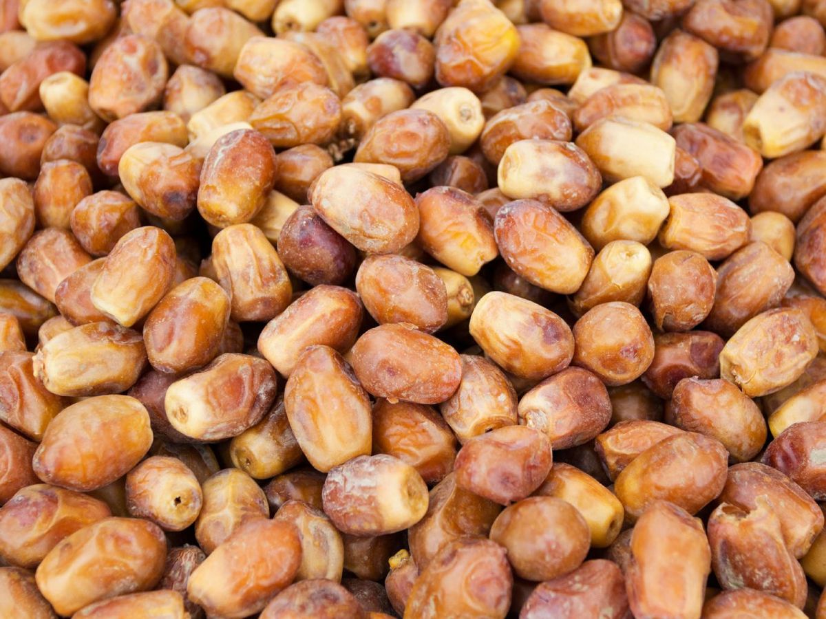 Dátiles Zahidi