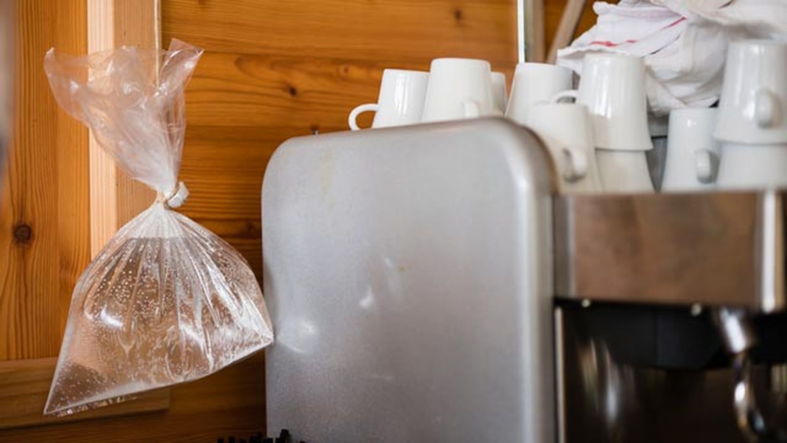 trampas caseras para ahuyentar moscas casa trampas caseras para ahuyentar moscas casa
