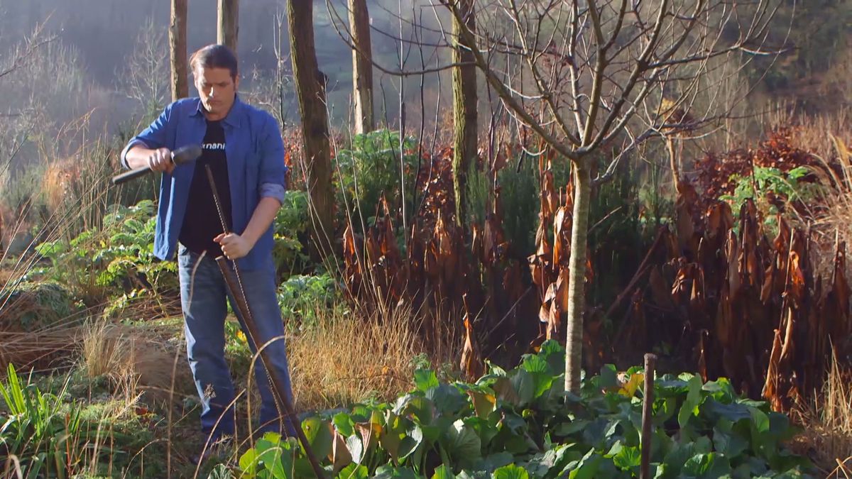 brico 983 3 conseguir manzano frutos paso1