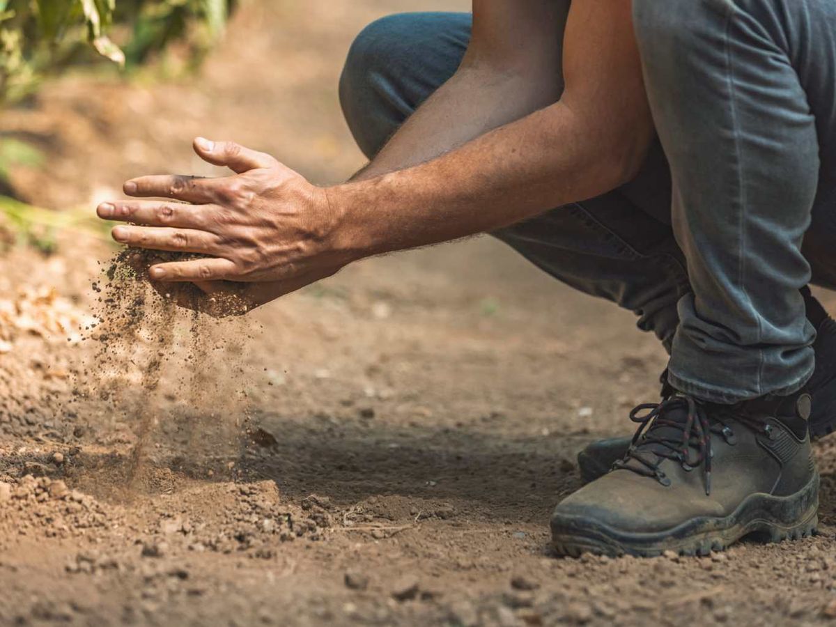 Existen métodos tanto para disminuir como para aumentar el pH del suelo.