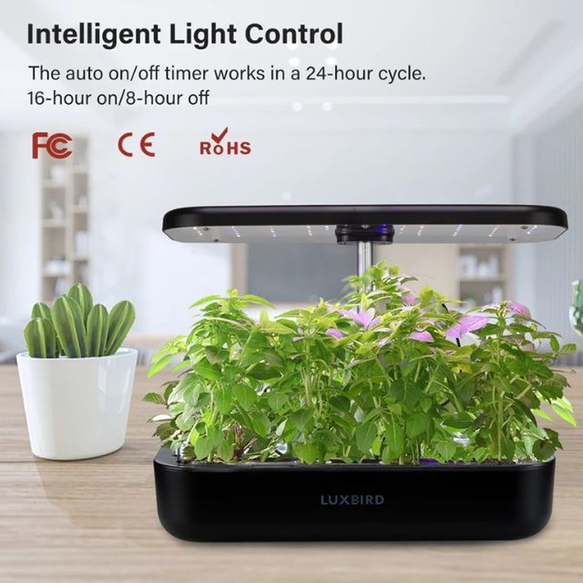 sistema de cultivo hidroponico