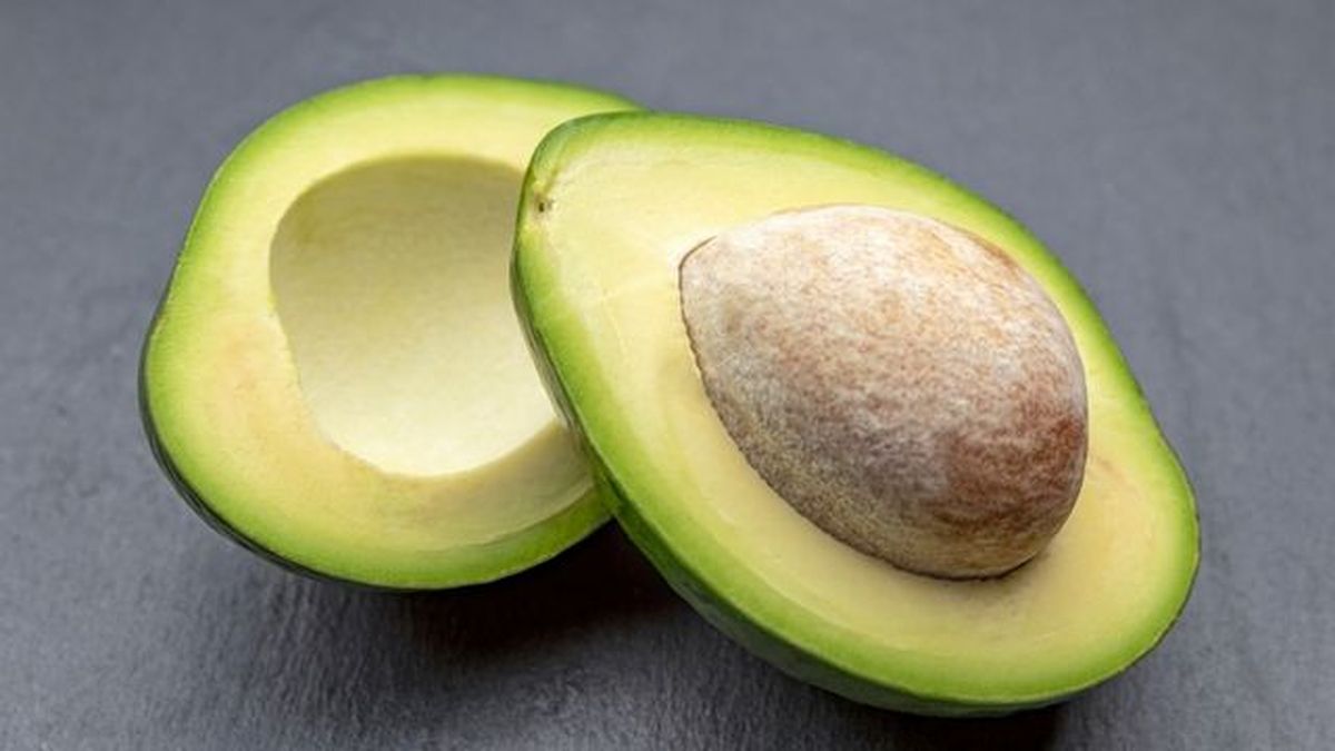 aguacate
