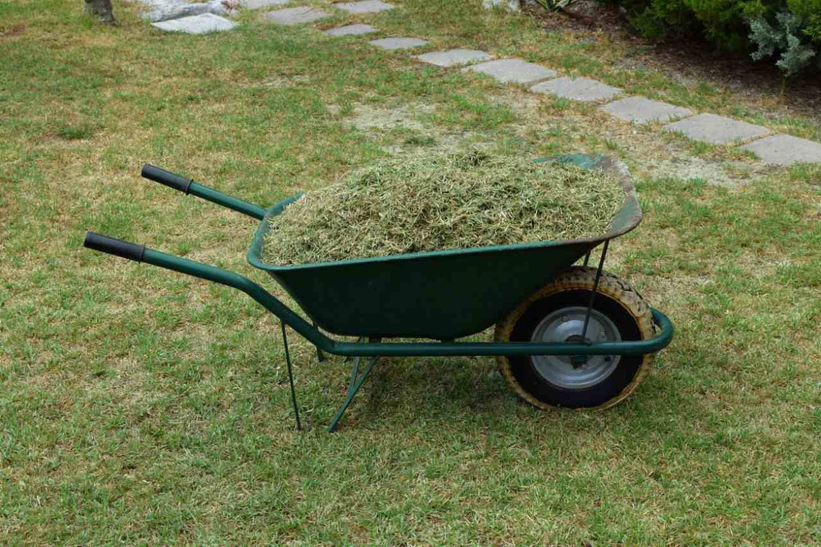 Los recortes de césped pueden ser un valioso recurso para tu jardín