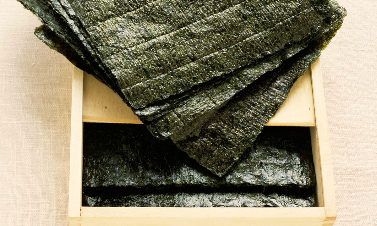 algas propiedades salud xl