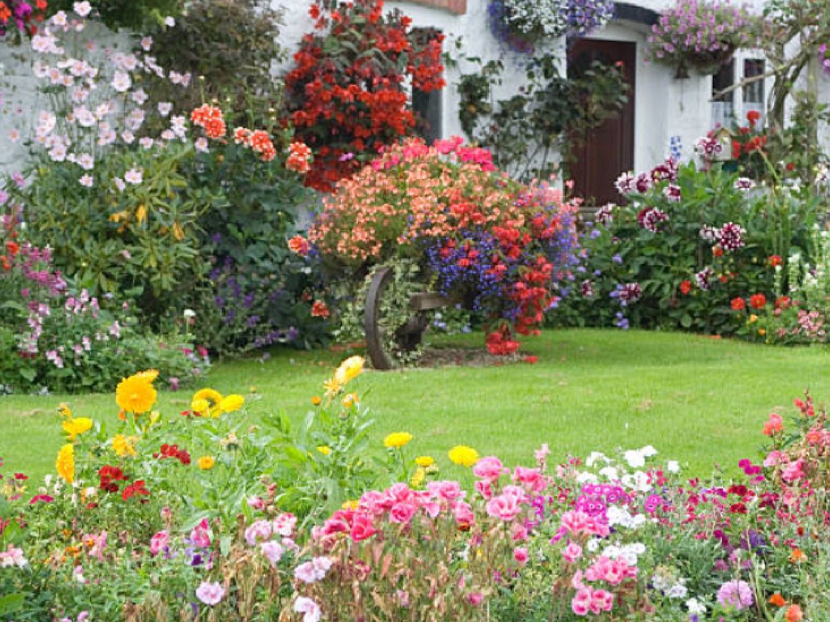 Puedes completar la decoración de tu jardín con plantas aromáticas