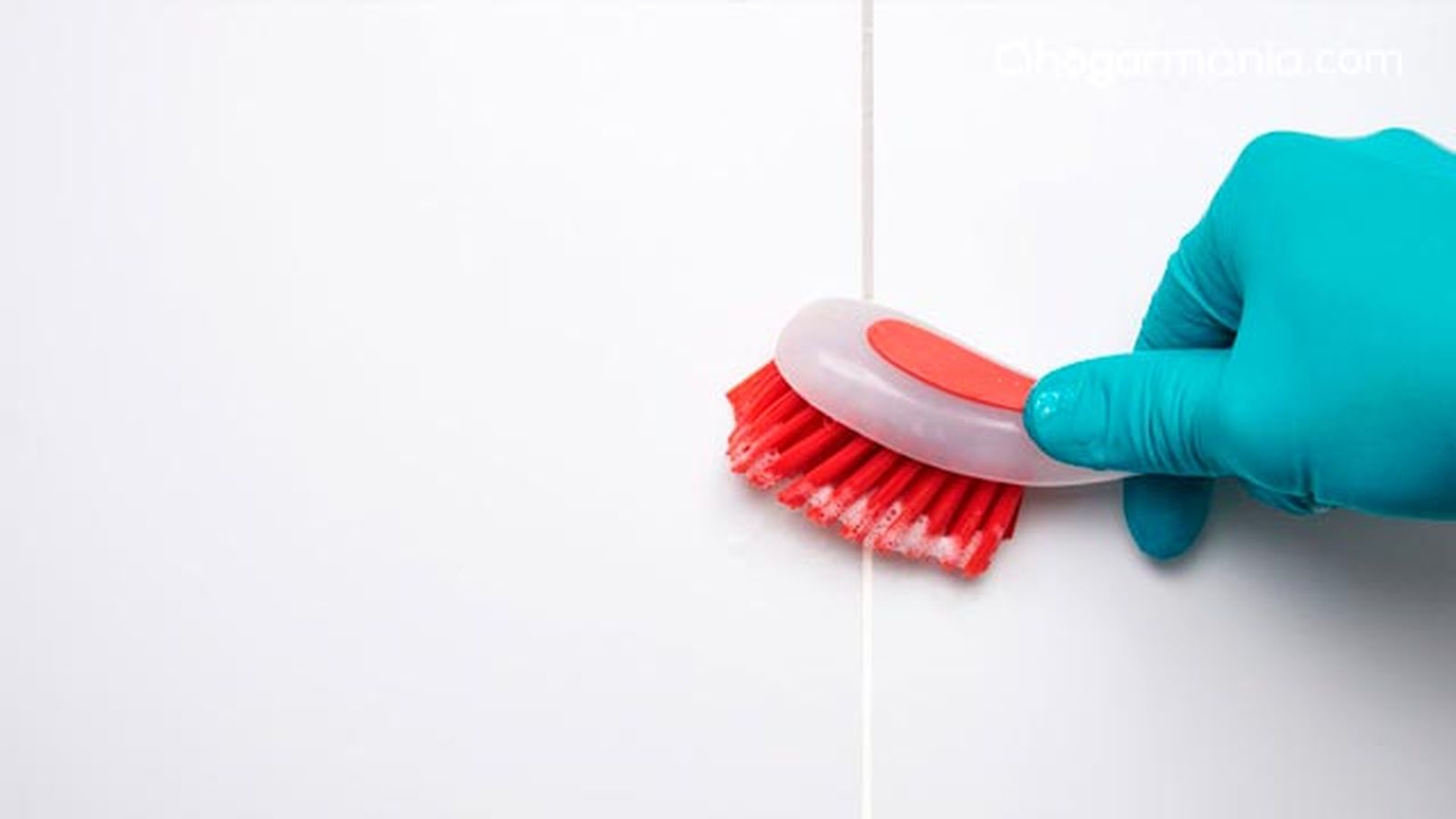 como quitar moho de la banera ducha como quitar moho de la banera ducha